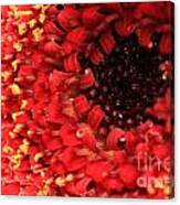 Red Flower Macro Canvas Print