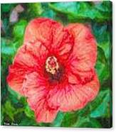 Red Garden Hibiscus  Dp Canvas Print