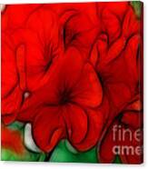 Red Geranium Canvas Print