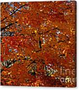 Red Gold Autumn Canvas Print