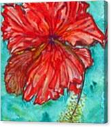 Red Hibiscus Flower Canvas Print