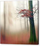 Red Leaves And The Hidden Path. Canvas Print