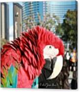 Red Macaw:) In San Diego Canvas Print