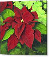 Red Poinsettia Canvas Print