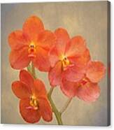 Red Scarlet Orchid On Grunge Canvas Print