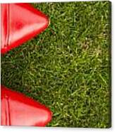 Red Shoes On Grass Canvas Print