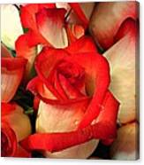 Red Tips Canvas Print