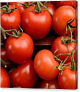 Red Tomatoes Canvas Print