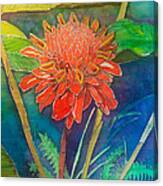 Red Torch Ginger Canvas Print