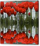 Red Tulips Reflection Canvas Print