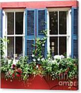Red Wall Canvas Print