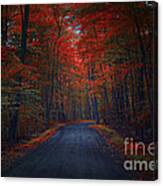 Red Woods Canvas Print