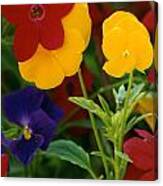Red Yellow Purple Flowers Canvas Print