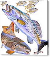 Redfish Trout Canvas Print