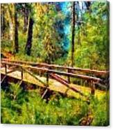 Redwood National Park Bridge Canvas Print