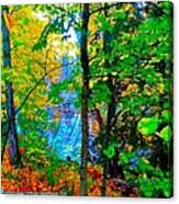 Reed College Canyon Reflections Of Autumn Canvas Print
