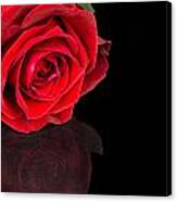 Reflected Red Rose Canvas Print