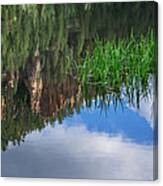 Reflections In A Mountain Pond Canvas Print