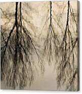 Reflections In Black And Grey Canvas Print