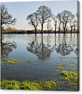 Reflections In Flood Water Canvas Print