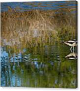 Reflections In Nature Canvas Print