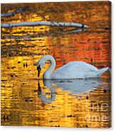 Reflections On Golden Pond Canvas Print