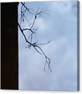 Reflections Within Canvas Print