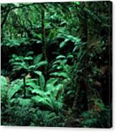 Relic Rain Forest Canvas Print