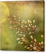 Remember Spring And Summer Canvas Print