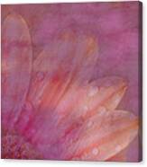 Remembering Spring Canvas Print