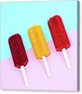 Retro Summer Fun Ice Lollies Design Canvas Print