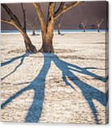 Return Of The Shadow Of The Camel Thorn - Dead Vlei Photograph Canvas Print