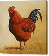 Rhode Island Red Rooster Canvas Print