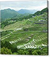 Rice Paddy Terraces On Green Mountain Canvas Print
