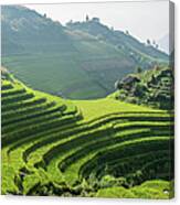 Rice Terraces Of Longji Titian Near Canvas Print