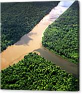 Rio Amazonas Canvas Print
