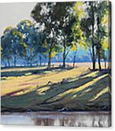 River Bank Shadows Tumut Canvas Print