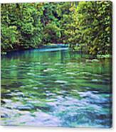 River Flowing Through A Forest, Big Canvas Print