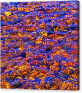 River Song Abstract Canvas Print