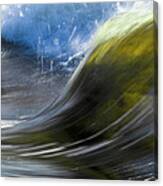 River Wave Canvas Print