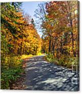 Road Through Fall Forest Canvas Print