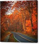 Road In The Park Canvas Print