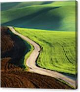 Road Canvas Print