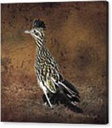 Road Runner 2 Canvas Print