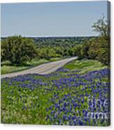 Road To Castell Canvas Print