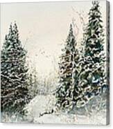 Road To Ed's Cabin-winter Canvas Print