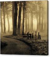 Road To Nowhere... Canvas Print