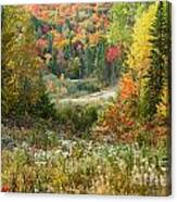 Road To Quill Hill Canvas Print
