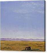 Roadside Attraction Canvas Print