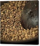 Roasted Luwak Coffee Beans Canvas Print